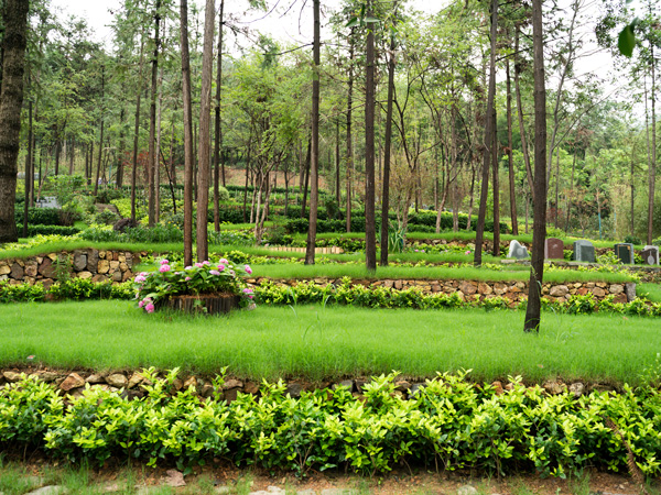 径山竹茶园公墓风景