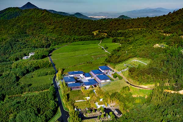 杭州墓地推荐，隐于青山，归于净土，传承家族情怀的宁静家园 