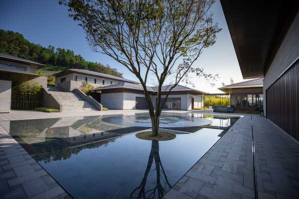 径山竹茶园 径山竹茶园