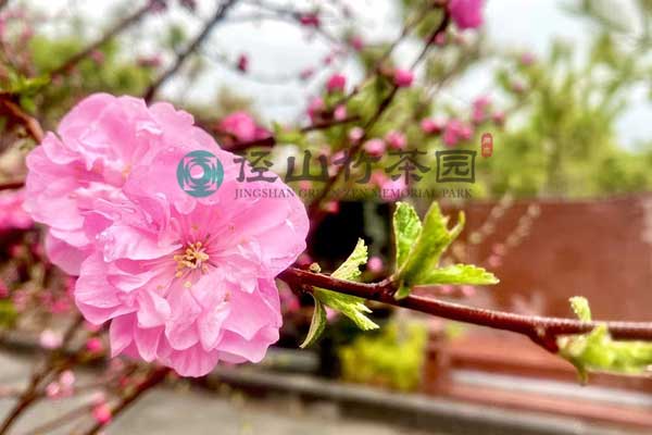 杭州墓地性价比中的品质典范 