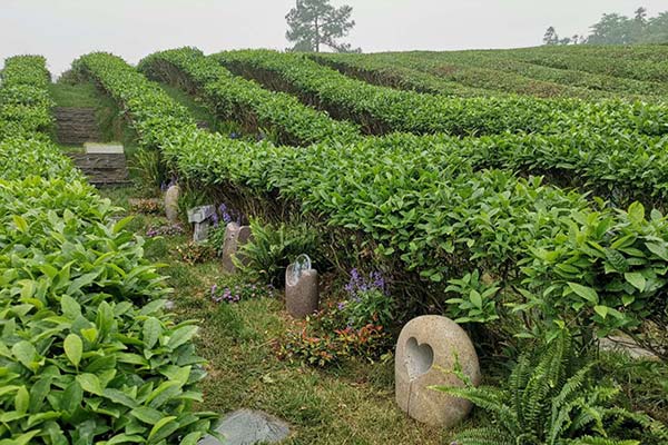 杭州墓园合同签订指南：保障权益的关键步骤 